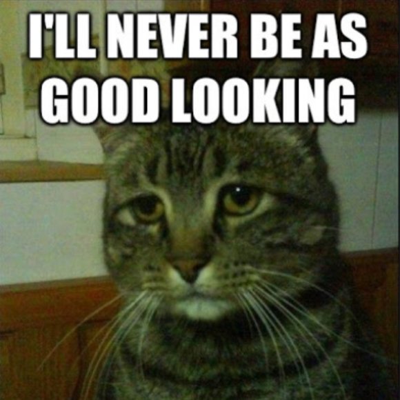 You Shine Like a Star! - Picture 3 of 12